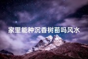 家里能种沉香树苗吗风水