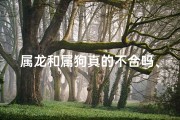 属龙和属狗真的不合吗、属龙属狗缘尽时分