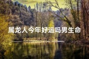 属龙人今年好运吗男生命运