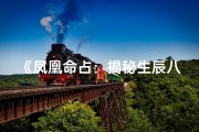《凤凰命占：揭秘生辰八字吉凶之谜》