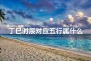 丁巳时辰对应五行属什么,《丁巳时辰吉凶速查表：揭秘命运转折点》