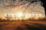 葛姓宝宝如何取名字大全(姓葛的男孩富有冷酷气质的名字)