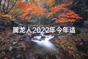 属龙人2022年今年适合开店吗