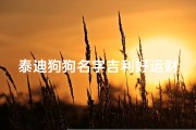 泰迪狗狗名字吉利好运财旺—《测测泰迪狗名字吉凶，好运相伴一生》