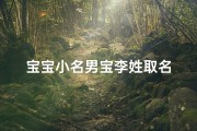 宝宝小名男宝李姓取名