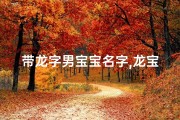 带龙字男宝宝名字,龙宝宝有字取名：寓意吉祥的男孩名字精选