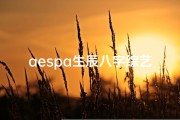 aespa生辰八字综艺_pcbaby生辰八字