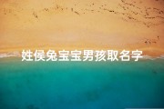 姓侯兔宝宝男孩取名字