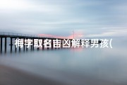 梅字取名吉凶解释男孩(梅字取名字大全)