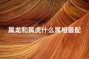 属龙和属虎什么属相最配(属龙和属虎什么属相最配对)