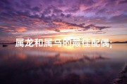 属龙和属马的最佳配偶;属龙属马天生佳偶，爱情火花四溅