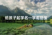给孩子起学名—学哥给宝宝取名，创意满满