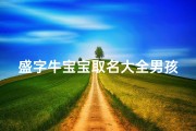 盛字牛宝宝取名大全男孩;盛龙宝宝女孩：萌动天地，未来之星璀璨绽放