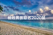 杨姓男孩取名2020鼠年免费_《大气杨姓兔年男宝宝名字精选》