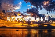 属龙可以佩戴血龙木;属龙必备：血龙木饰品，吉祥如意显尊贵