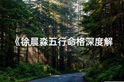 《徐晨淼五行命格深度解析：揭秘命运密码》