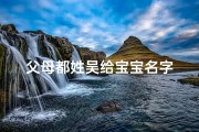 父母都姓吴给宝宝名字