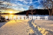 罗氏虎宝宝五行缺金，吉祥金运好名字推荐