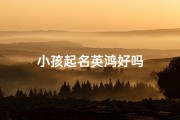 小孩起名英鸿好吗