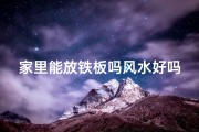 家里能放铁板吗风水好吗_家里铁板摆放风水解析：适宜家居的神秘之选