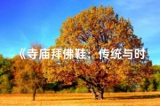 《寺庙拜佛鞋：传统与时尚的交融》