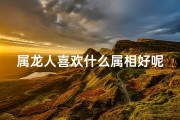 属龙人喜欢什么属相好呢