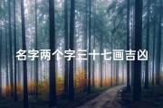名字两个字三十七画吉凶(名字27画好不好)