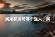 属龙和属马哪个强大、属龙和属马的关系
