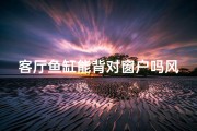 客厅鱼缸能背对窗户吗风水