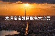 水虎宝宝姓吕取名大全男孩;水虎年男宝取名