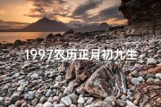 1997农历正月初九生辰八字详解;1997年正月初九八字命理揭秘