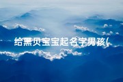 给黑贝宝宝起名字男孩(谁给我家的小狗起名字 黑背 )