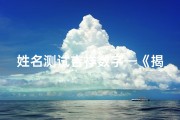姓名测试吉祥数字—《揭秘名字吉凶数字：测出你的运势密码》