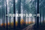 一月份属狗什么命;一月生肖狗吉日盘点：宜动不宜静的日子揭晓