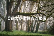 《犯太岁化解吉凶秘法：轻松转运指南》