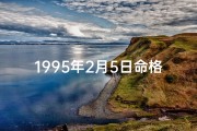 1995年2月5日命格—1995年2月5号