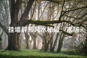 挂墙辟邪风水秘籍：家居吉祥指南