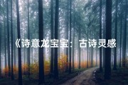 《诗意龙宝宝：古诗灵感中的美好名字》