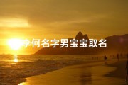 李何名字男宝宝取名