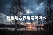 屋里适合养睡莲吗风水