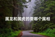 属龙和属虎的要哪个属相的孩子最好-属龙宝宝与属虎宝宝，缘分深浅如何？
