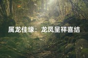 属龙佳缘：龙凤呈祥喜结良缘