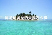 属龙与属龙的夫妻怎么样