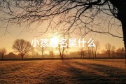 小孩起名昊什么