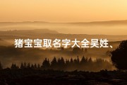 猪宝宝取名字大全吴姓、吴姓猪宝宝女孩好听名字