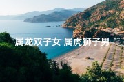 属龙双子女 属虎狮子男;双子女和狮子男的匹配度