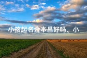小孩起名金本昌好吗、小孩起名金本昌好吗女孩