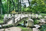 属龙人麻将财神方位怎么坐_属龙2017麻将财神方位揭秘：财运亨通指南