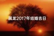 属龙2017年结婚吉日精选：喜庆良辰，幸福启航
