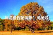 属龙佳偶配属谁？揭秘最佳婚配属相